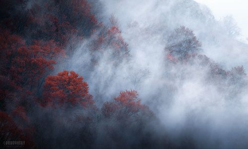 Осенний пожар