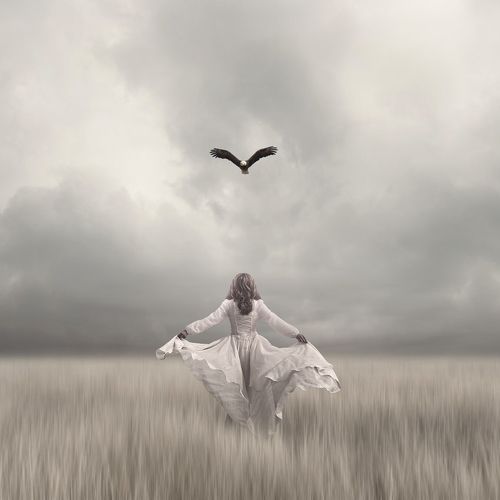teach me how to fly