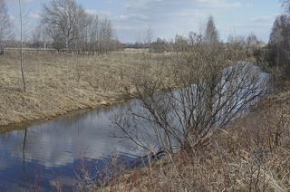 Весенняя Быструшка.(1)
