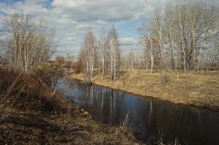 Весенняя быструшка.(2)