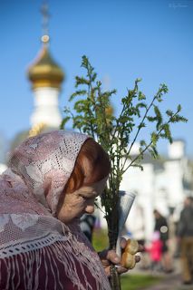 Вербное воскресенье ...