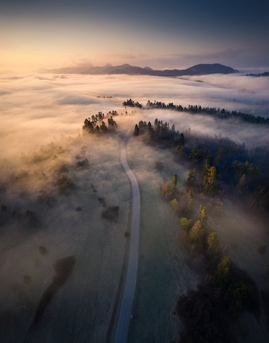 The Gate of Pieniny