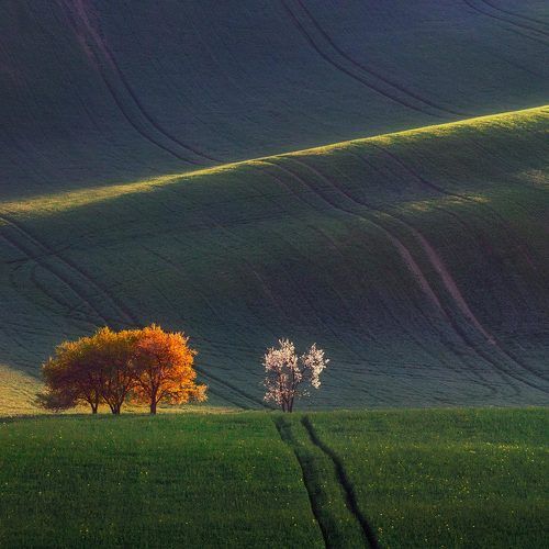 Spring view.