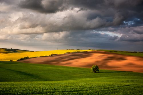 Moravian spring
