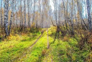 Рыбацкая автотропа к Мильтюшу.