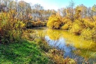 Перед поворотом из осени в осень.