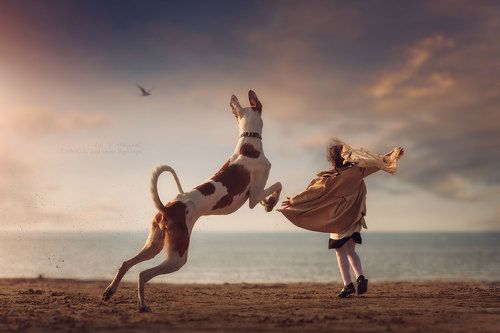 Варя и Вейс (podenco ibicenco)