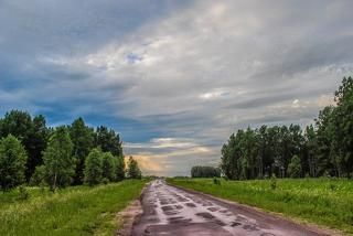 Хождение по сырому утру.(2820)