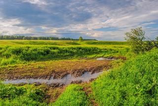 Утро сибирской степи.