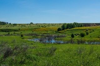 Лето близко