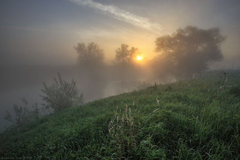 Туман над травой песня слушать. Утро, туман, трава, солнце. Высокая трава и туман солнце. Жёлтая туманная облока.