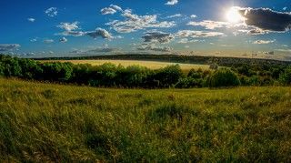 Засечное