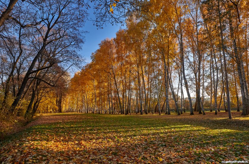 Осень в Ясной Поляне