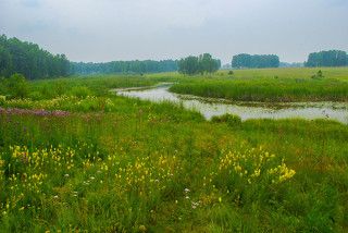 Спускаясь к Мильтюшу.