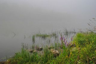 По берегу в туман.