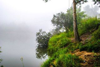 Тарзанка.