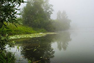 Речной заливчик.