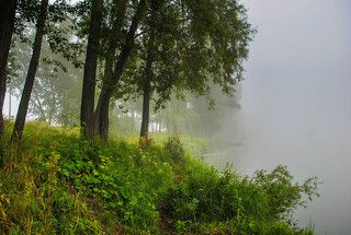 Вдоль тумана по рыбацкой тропе.