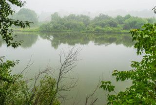 С крутого берега.