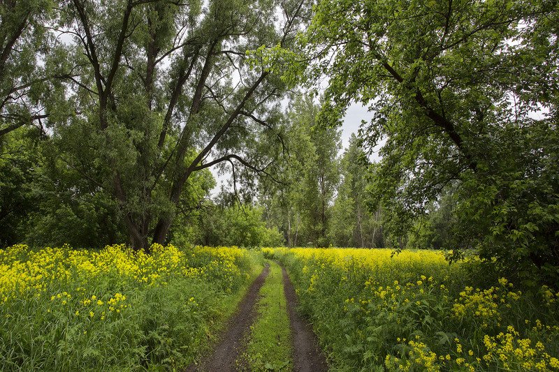 река уй челябинской области. лес малояз башкирия зима. новотроицк башкирия. «южный урал. река сакмара.