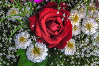 Букетное селфи.(3010)