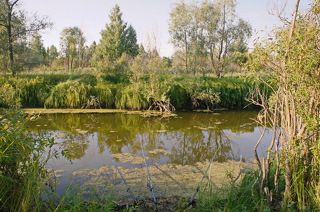 На рыбалке.