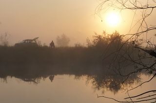 Сегодняшнее утреннее.
