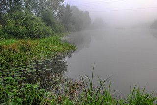 Утро городской реки Бердь.(3020)