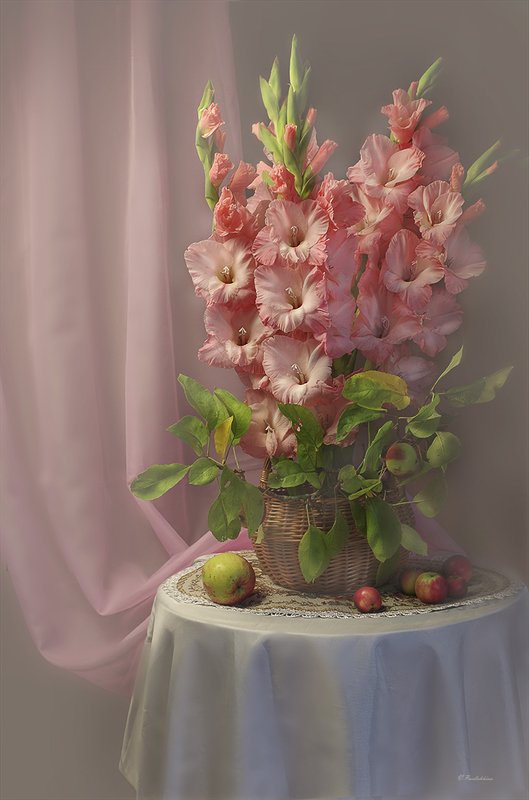 фотонатюрморты с гладиолусами ?ана