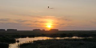 Так заканчивался день 20.08.
