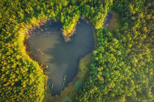 Love is everywhere