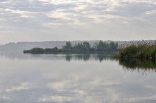 Тихое утро