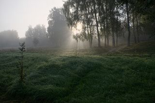 Туманным утром 26