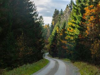 Road to abandoned village in nature reserve.