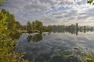 Отражения