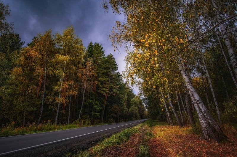 Живописная осенняя дорога в Казань