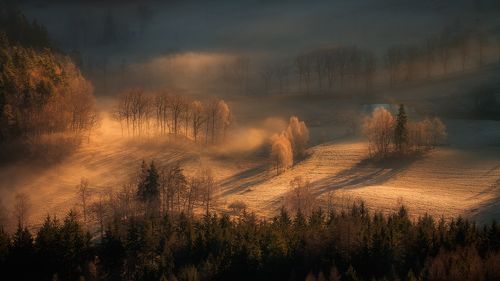 Autumn Ghosts