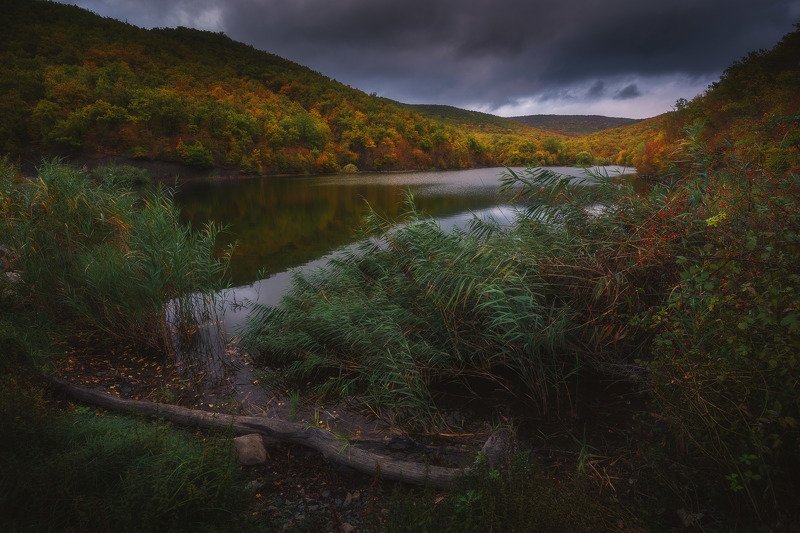 Осень в Крымском лесу