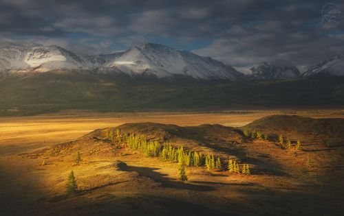 Где солнца свет