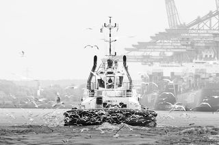Schlepper
