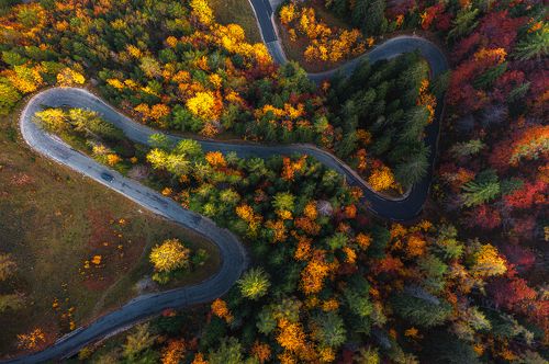 labyrinth of colours