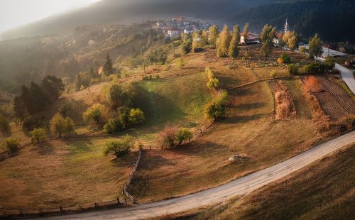 Autumn awakening