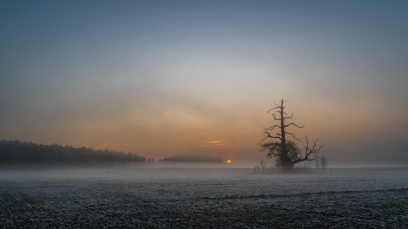 Dawn in the mist