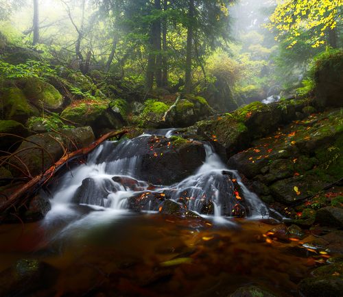 Autumn song