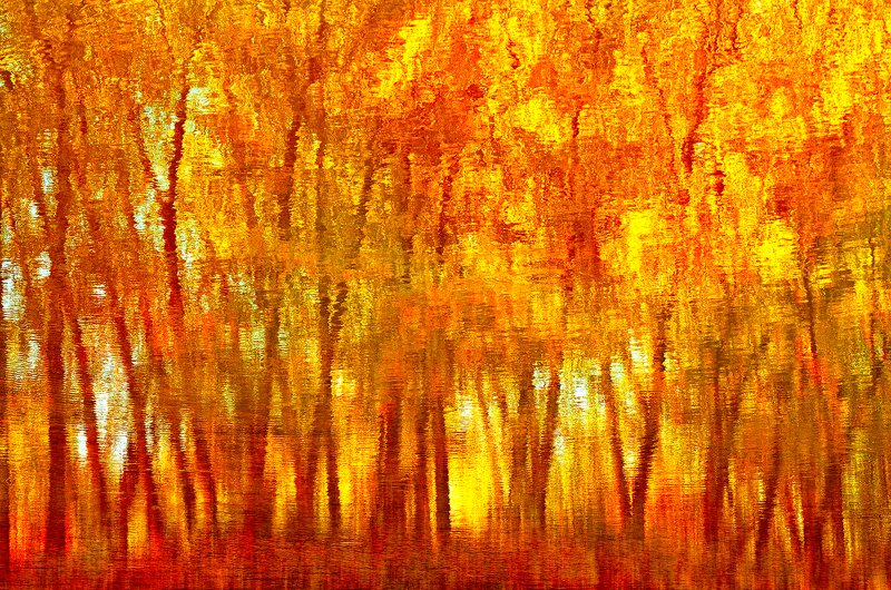 Reflected Autumn