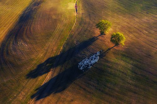 Shadowing