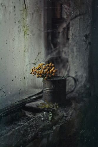 сладкий ноябрь*