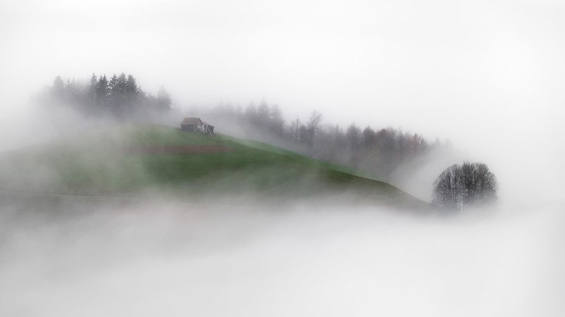 Остров в тумане