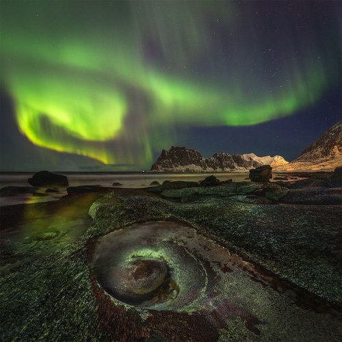 Arctic Avocado.