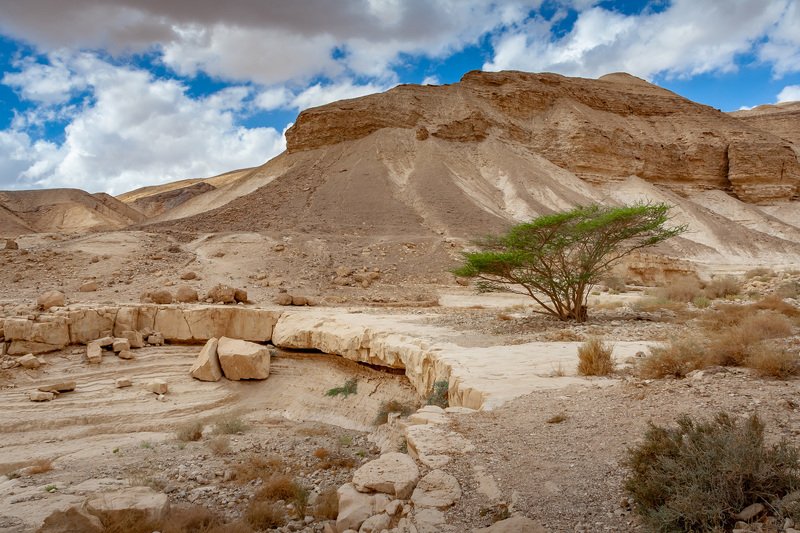 desert in Israel